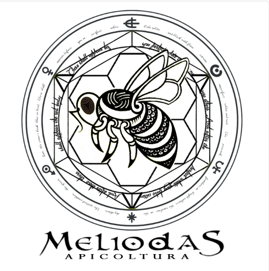 Meliodas di Marco Civico